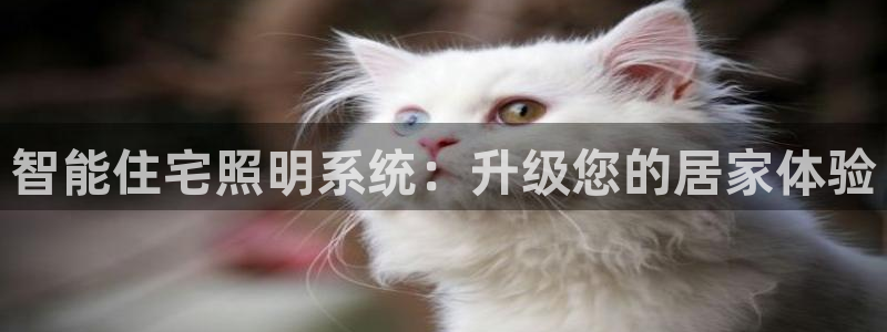智能住宅照明系统：升级您的居家体验