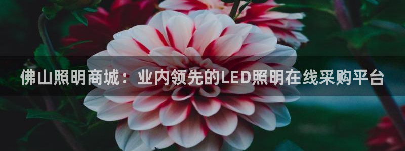 佛山照明商城：业内领先的LED照明在线采购平台