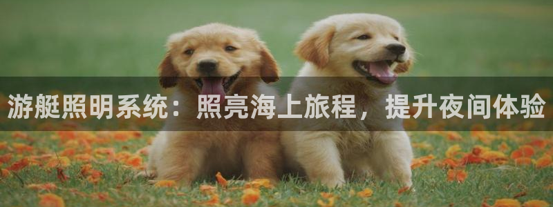 游艇照明系统：照亮海上旅程，提升夜间体验