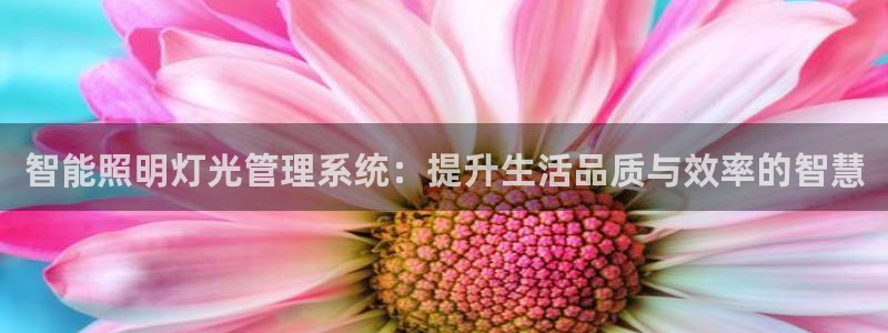 智能照明灯光管理系统：提升生活品质与效率的智慧