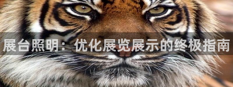 展台照明：优化展览展示的终极指南