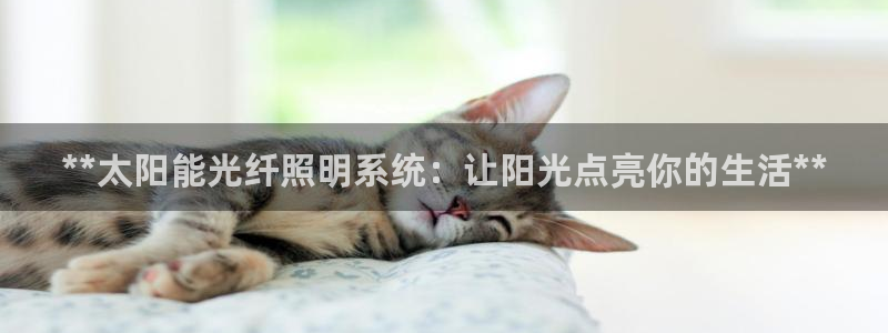 **太阳能光纤照明系统：让阳光点亮你的生活**