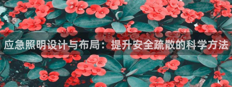 应急照明设计与布局：提升安全疏散的科学方