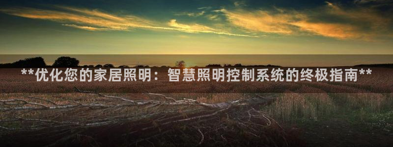 **优化您的家居照明：智慧照明控制系统的终极指南**