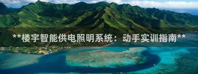 **楼宇智能供电照明系统：动手实训指南**