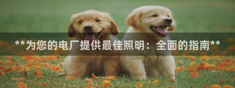 **为您的电厂提供最佳照明：全面的指南*