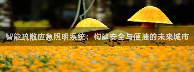 智能疏散应急照明系统:构建安全与便捷的未来城市