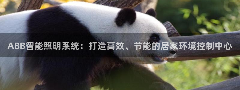 ABB智能照明系统:打造高效、节能的居家环境控制中心