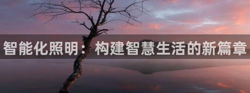 智能化照明：构建智慧生活的新篇章