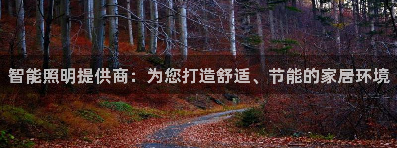智能照明提供商：为您打造舒适、节能的家居环境
