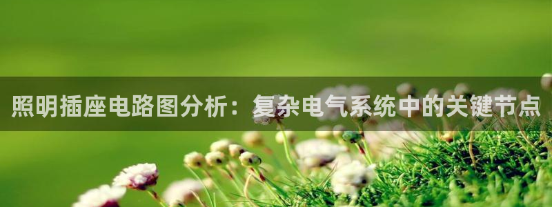 照明插座电路图分析:复杂电气系统中的关键节点