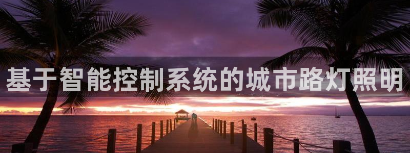 基于智能控制系统的城市路灯照明