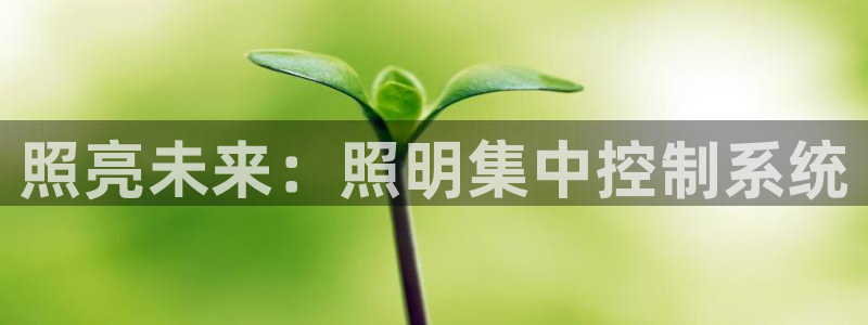 照亮未来：照明集中控制系统