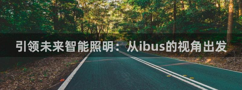 引领未来智能照明：从ibus的视角出发