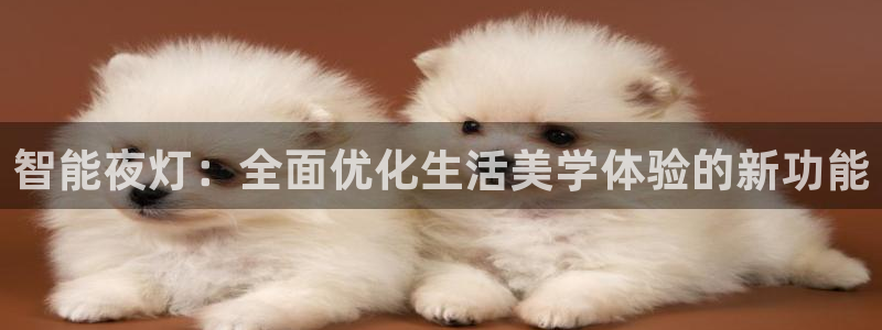 智能夜灯：全面优化生活美学体验的新功能