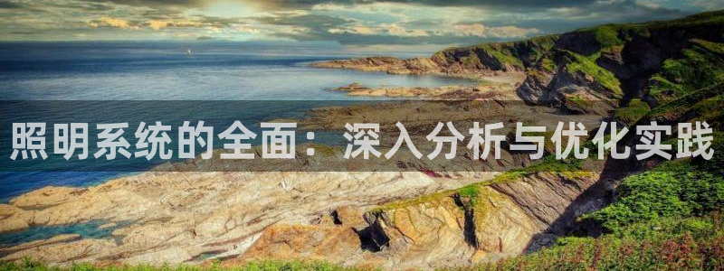 照明系统的全面：深入分析与优化实践