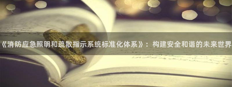 《消防应急照明和疏散指示系统标准化体系》