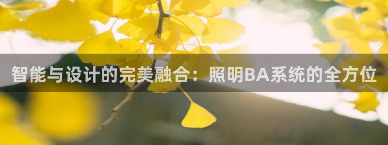 智能与设计的完美融合:照明BA系统的全方位