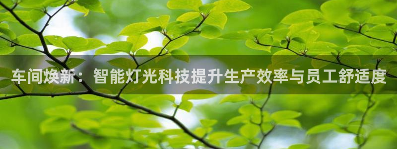 车间焕新：智能灯光科技提升生产效率与员工