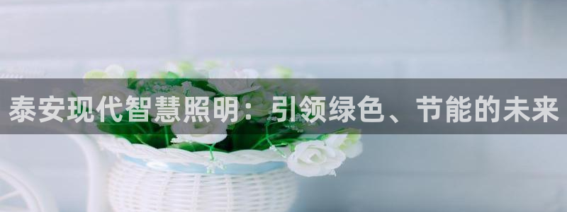 泰安现代智慧照明:引领绿色、节能的未来