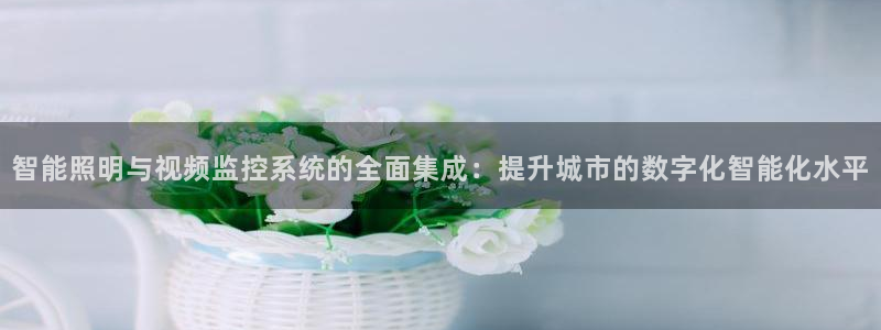 智能照明与视频监控系统的全面集成：提升城市的数字化智能化水平