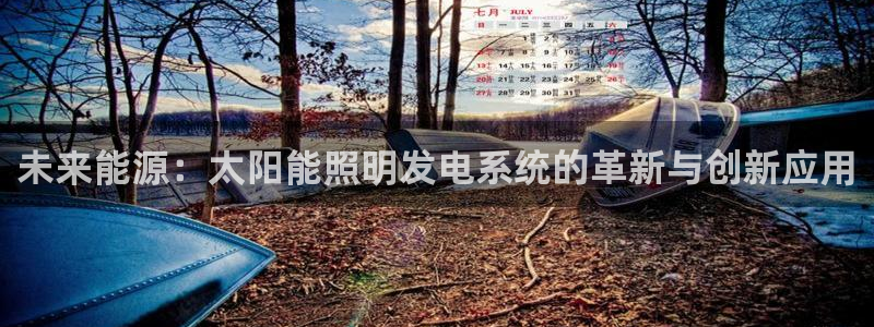 未来能源：太阳能照明发电系统的革新与创新应用