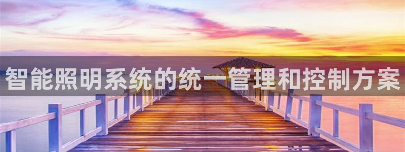 智能照明系统的统一管理和控制方案