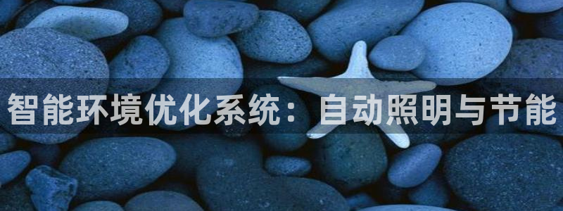 智能环境优化系统：自动照明与节能