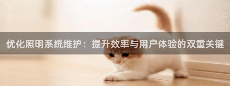 优化照明系统维护：提升效率与用户体验的双重关键