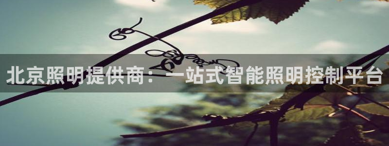 北京照明提供商：一站式智能照明控制平台
