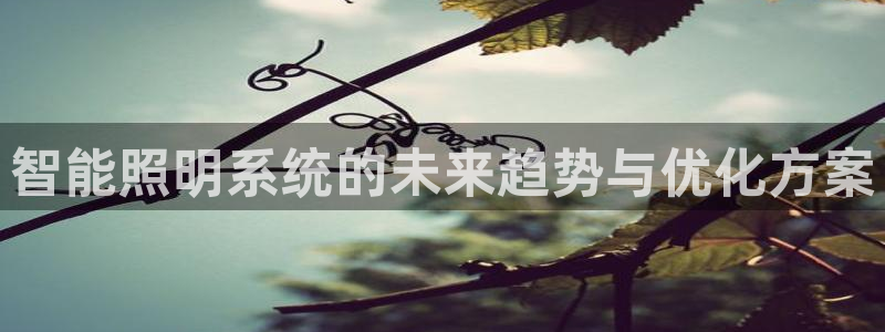 智能照明系统的未来趋势与优化方案