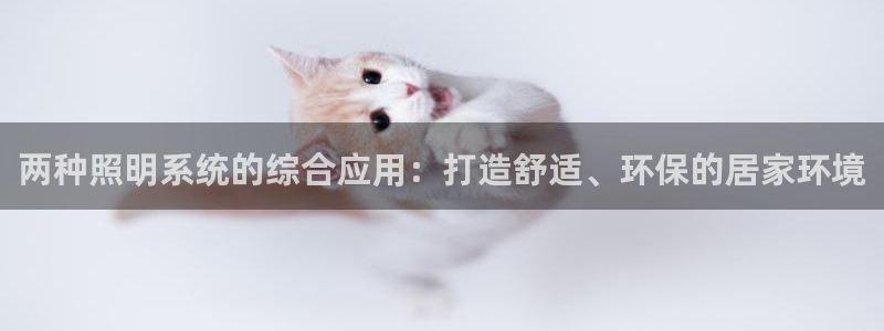 两种照明系统的综合应用：打造舒适、环保的居家环境