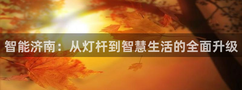 智能济南：从灯杆到智慧生活的全面升级