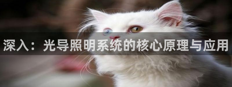 深入：光导照明系统的核心原理与应用