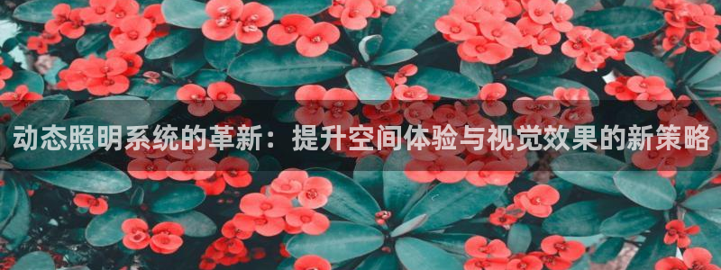 动态照明系统的革新:提升空间体验与视觉效果的新策略