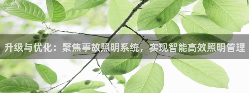 升级与优化：聚焦事故照明系统，实现智能高效照明管理