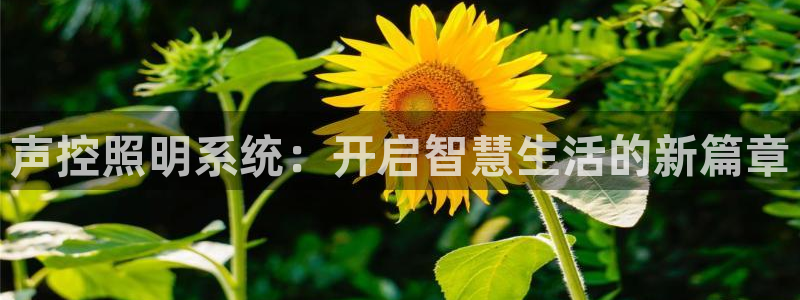 声控照明系统：开启智慧生活的新篇章