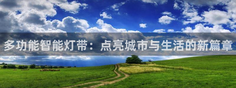 多功能智能灯带：点亮城市与生活的新篇章