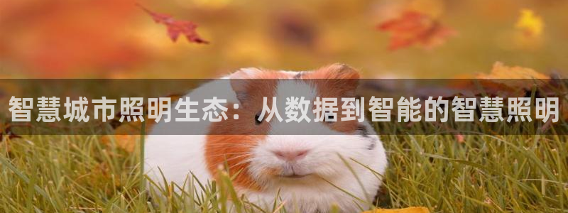 智慧城市照明生态：从数据到智能的智慧照明