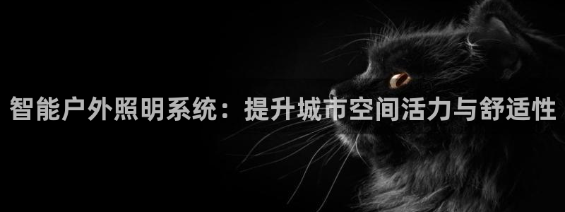 智能户外照明系统：提升城市空间活力与舒适性