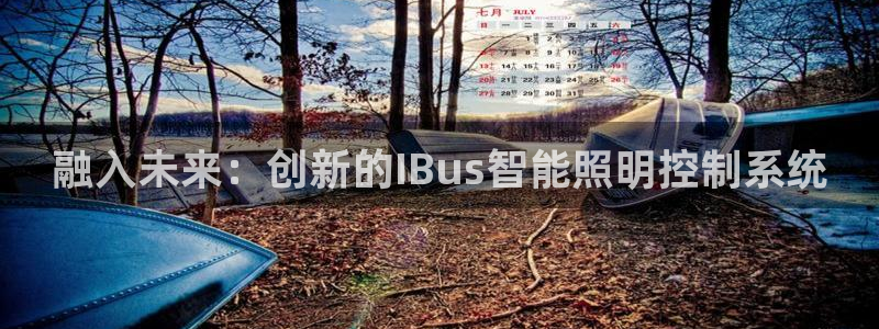 融入未来：创新的IBus智能照明控制系统