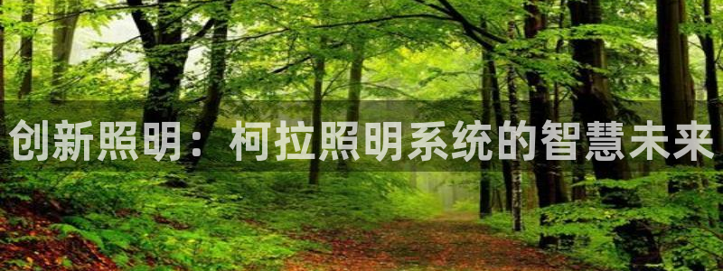 创新照明：柯拉照明系统的智慧未来