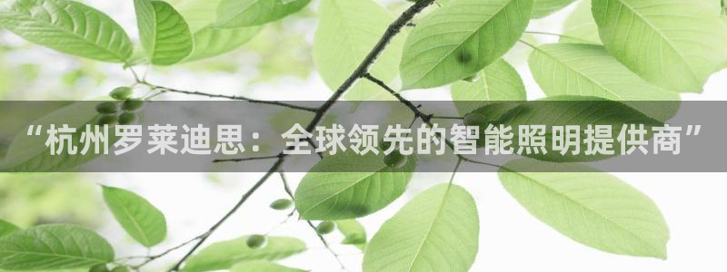 “杭州罗莱迪思：全球领先的智能照明提供商”