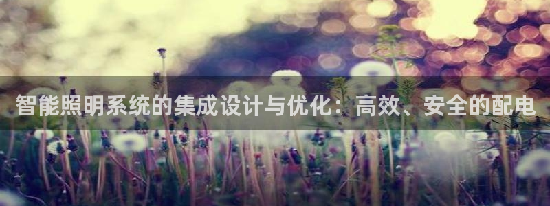 智能照明系统的集成设计与优化：高效、安全的配电