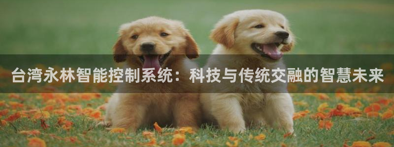 台湾永林智能控制系统：科技与传统交融的智慧未来