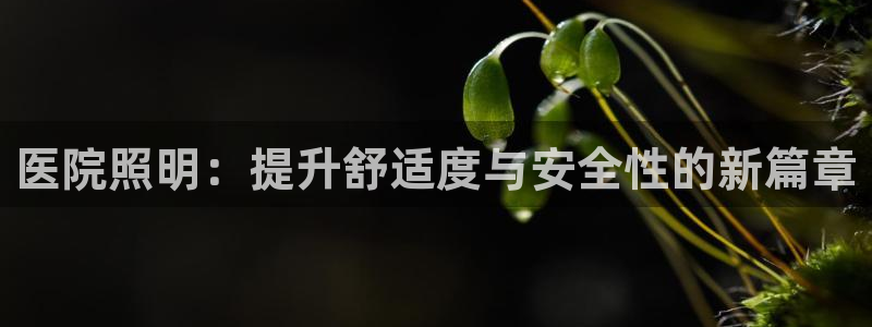 医院照明：提升舒适度与安全性的新篇章