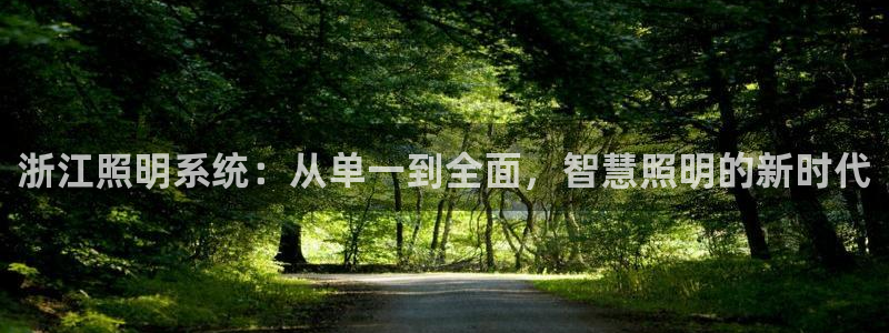 浙江照明系统：从单一到全面，智慧照明的新时代