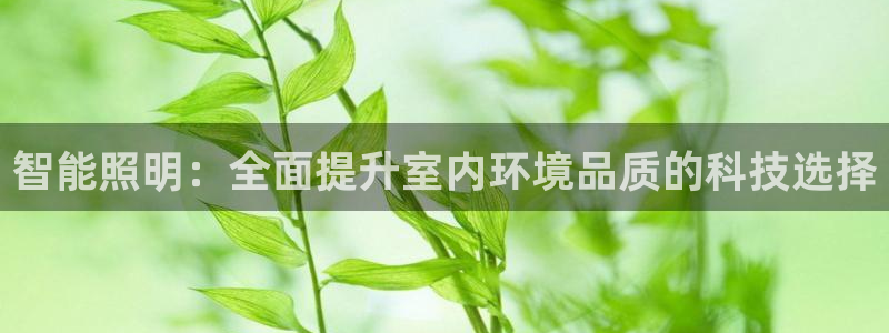 智能照明：全面提升室内环境品质的科技选择