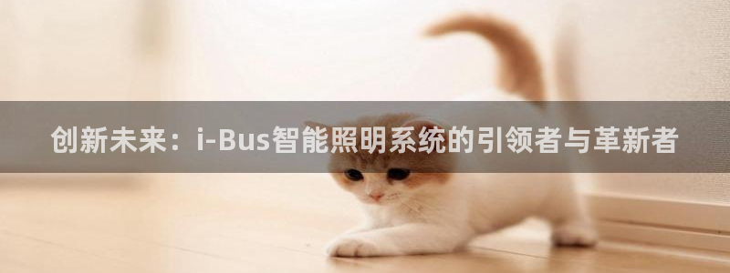 创新未来：i-Bus智能照明系统的引领者与革新者