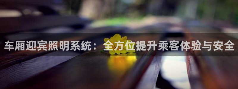 车厢迎宾照明系统：全方位提升乘客体验与安全